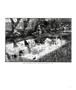 Page: - 17 | Aperture