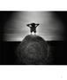 Page: - 31 | Aperture