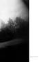 Page: - 33 | Aperture