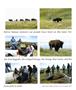 Page: - 101 | Aperture