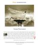 Page: - 122 | Aperture
