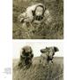 Page: - 80 | Aperture