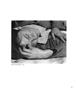 Page: - 62 | Aperture