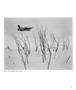 Page: - 78 | Aperture