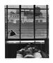 Page: - 82 | Aperture