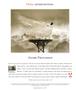 Page: - 98 | Aperture