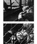 Page: - 43 | Aperture