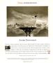 Page: - 94 | Aperture