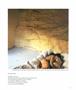 Page: - 27 | Aperture