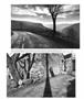 Page: - 34 | Aperture