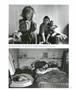 Page: - 43 | Aperture