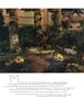 Page: - 31 | Aperture