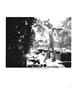 Page: - 61 | Aperture