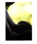 Page: - 73 | Aperture