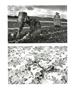 Page: - 11 | Aperture