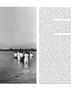 Page: - 25 | Aperture