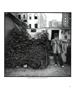 Page: - 39 | Aperture