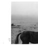 Page: - 62 | Aperture