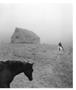 Page: - 63 | Aperture