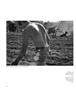 Page: - 64 | Aperture