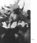 Page: - 47 | Aperture
