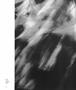 Page: - 50 | Aperture