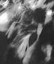 Page: - 51 | Aperture