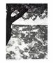 Page: - 41 | Aperture