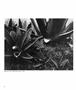 Page: - 44 | Aperture