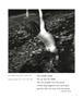 Page: - 31 | Aperture