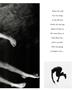 Page: - 45 | Aperture