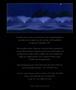 Page: - 82 | Aperture