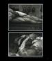 Page: - 33 | Aperture