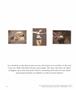 Page: - 46 | Aperture