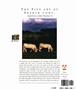 Page: - 82 | Aperture