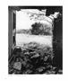 Page: - 46 | Aperture