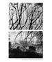 Page: - 65 | Aperture