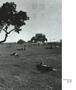 Page: - 37 | Aperture