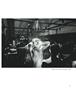 Page: - 67 | Aperture