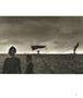 Page: - 19 | Aperture