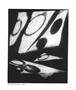 Page: - 31 | Aperture