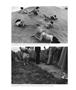 Page: - 52 | Aperture