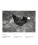 Page: - 23 | Aperture