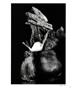 Page: - 31 | Aperture