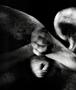 Page: - 32 | Aperture