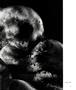 Page: - 33 | Aperture