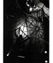 Page: - 37 | Aperture