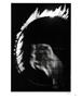 Page: - 43 | Aperture