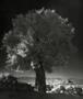 Page: - 53 | Aperture