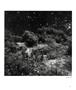 Page: - 59 | Aperture